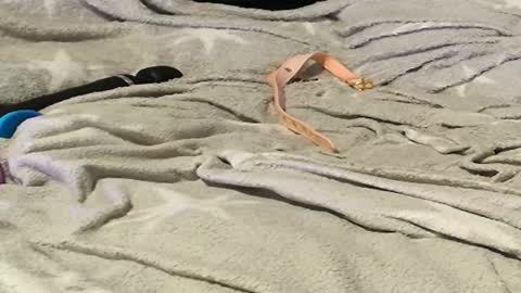 Meadow online show from 09.09.25