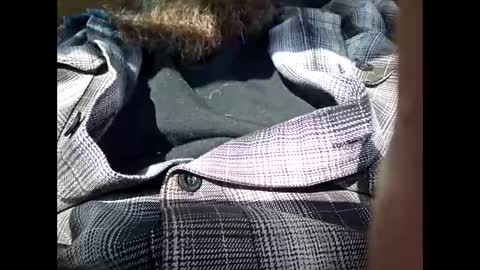 Frickish online show from 01.21.25