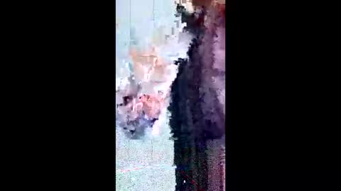 friendshipplus online show from 02.03.26