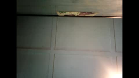 Warwick online show from 12.02.24