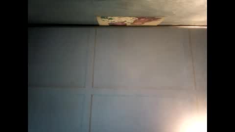 Warwick online show from 12.07.24