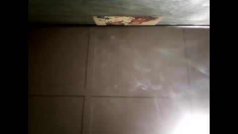 Warwick online show from 12.09.24