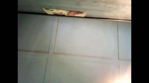 Warwick online show from 12.12.24