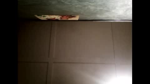 Warwick online show from 12.12.24