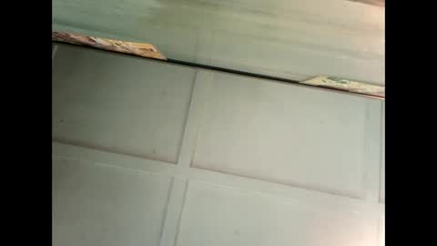 Warwick online show from 01.04.25