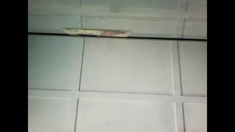 Warwick online show from 01.20.25