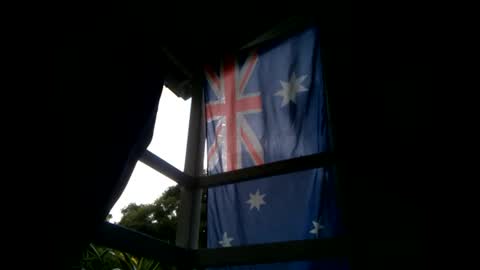 Warwick online show from 01.20.25