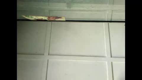 Warwick online show from 01.29.25