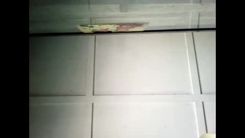 Warwick online show from 01.30.25