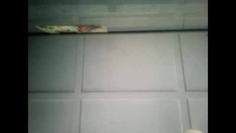 Warwick online show from 02.01.25