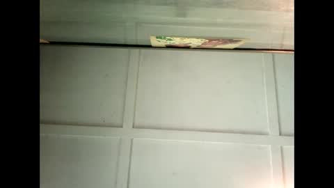 Warwick online show from 02.04.25