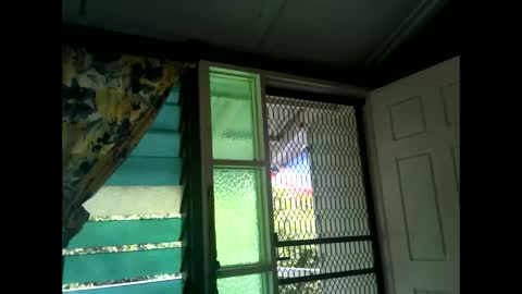 Warwick online show from 02.17.25