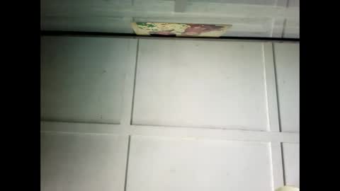 Warwick online show from 02.24.25