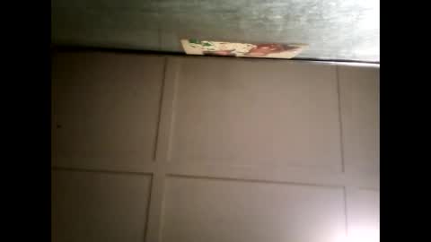 Warwick online show from 03.05.25