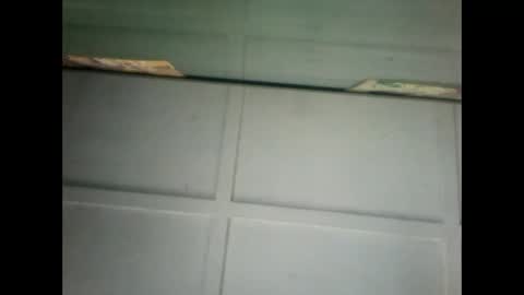 Warwick online show from 03.11.25