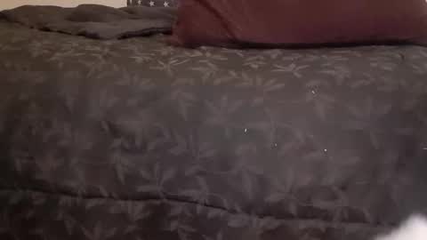 Pizzaz online show from 01.14.25