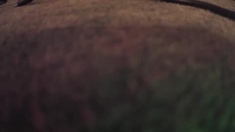 Snapshot of fumymo chatting on 01.07.26 fumymo online show from 01.07.26