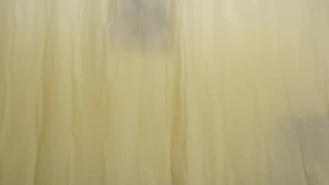 Snapshot of fun4tips chatting on 02.15.25 Fun4Tips online show from 02.15.25