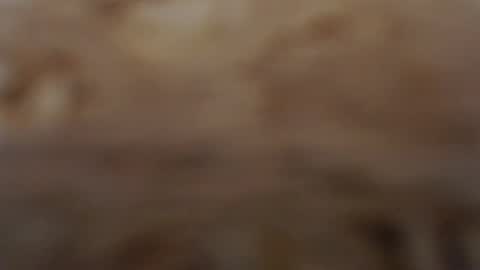 funcat01 online show from 02.03.26