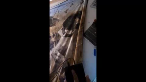 funinbed607918 online show from 04.25.26