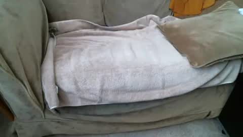 funlovinchub online show from 02.08.26