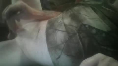 funthum19 online show from 11.25.25