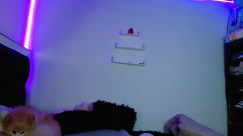 Victoria online show from 03.11.25