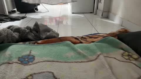 gab021593 online show from 01.08.26