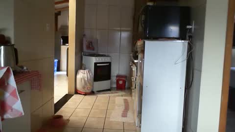 Snapshot of gabibrasil chatting on 02.26.26 gaby layla online show from 02.26.26