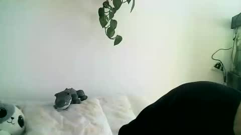 Gael Garca online show from 02.11.26