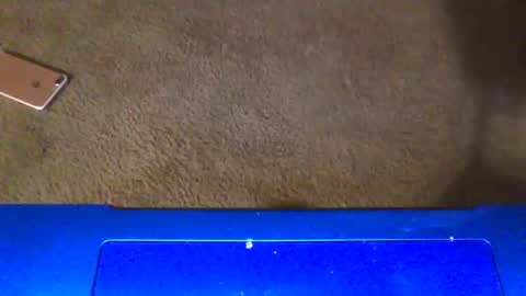 gangdrewski online show from 03.06.26