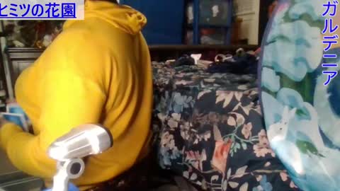 Gardenia online show from 12.28.24