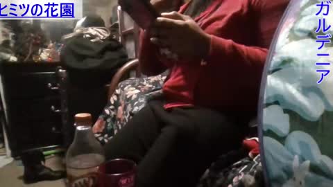 Gardenia online show from 01.12.25