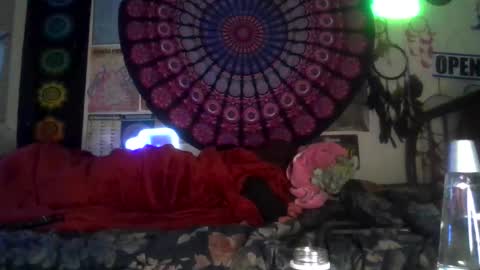 Gardenia online show from 02.04.26