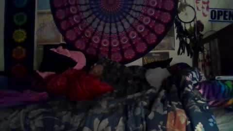 Gardenia online show from 02.15.26