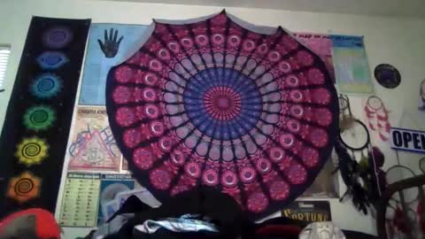 Gardenia online show from 04.05.26