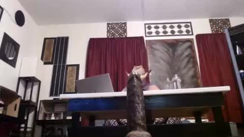 Snapshot of gatewaylaptop2019 chatting on 04.26.26 gatewaylaptop2019 online show from 04.26.26