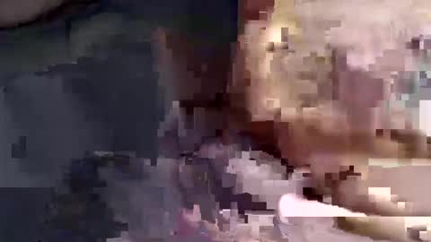 gatinhow82 online show from 03.26.26