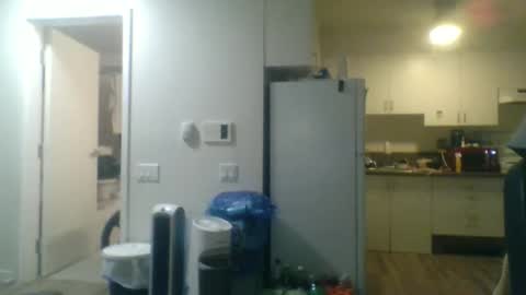 Snapshot of geekgamer41 chatting on 11.23.25 geekgamer41 online show from 11.23.25