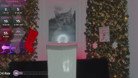 Snapshot of geminis_grey chatting on 01.21.25 Geminis online show from 01.21.25