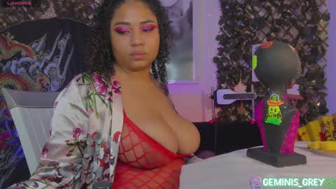 Snapshot of geminis_grey chatting on 02.15.25 Geminis online show from 02.15.25