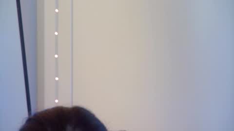 Snapshot of gentlerossi chatting on 10.01.25 GentleRossi online show from 10.01.25