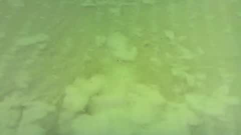 Snapshot of georgempt chatting on 06.15.26 georgempt online show from 06.15.26