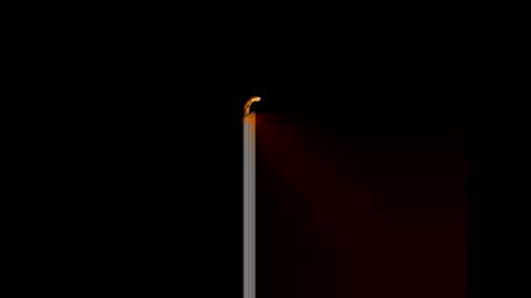 gerson229 online show from 01.14.26