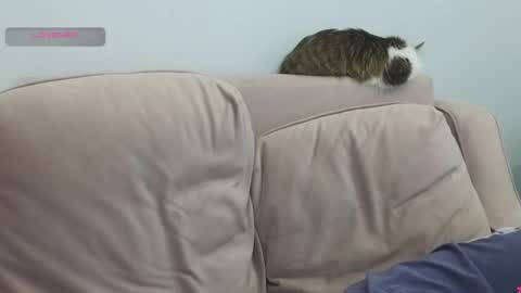 Gerta online show from 03.08.26