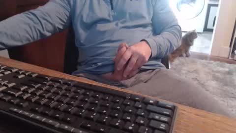 gethoggy online show from 10.23.25