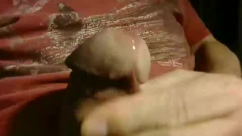 Snapshot of gettingstiff chatting on 01.12.26 gettingstiff online show from 01.12.26