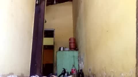 Gaby online show from 10.11.25