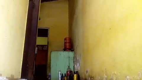 Gaby online show from 10.13.25