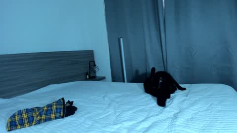 Snapshot of giannasue chatting on 01.11.25 giannasue online show from 01.11.25